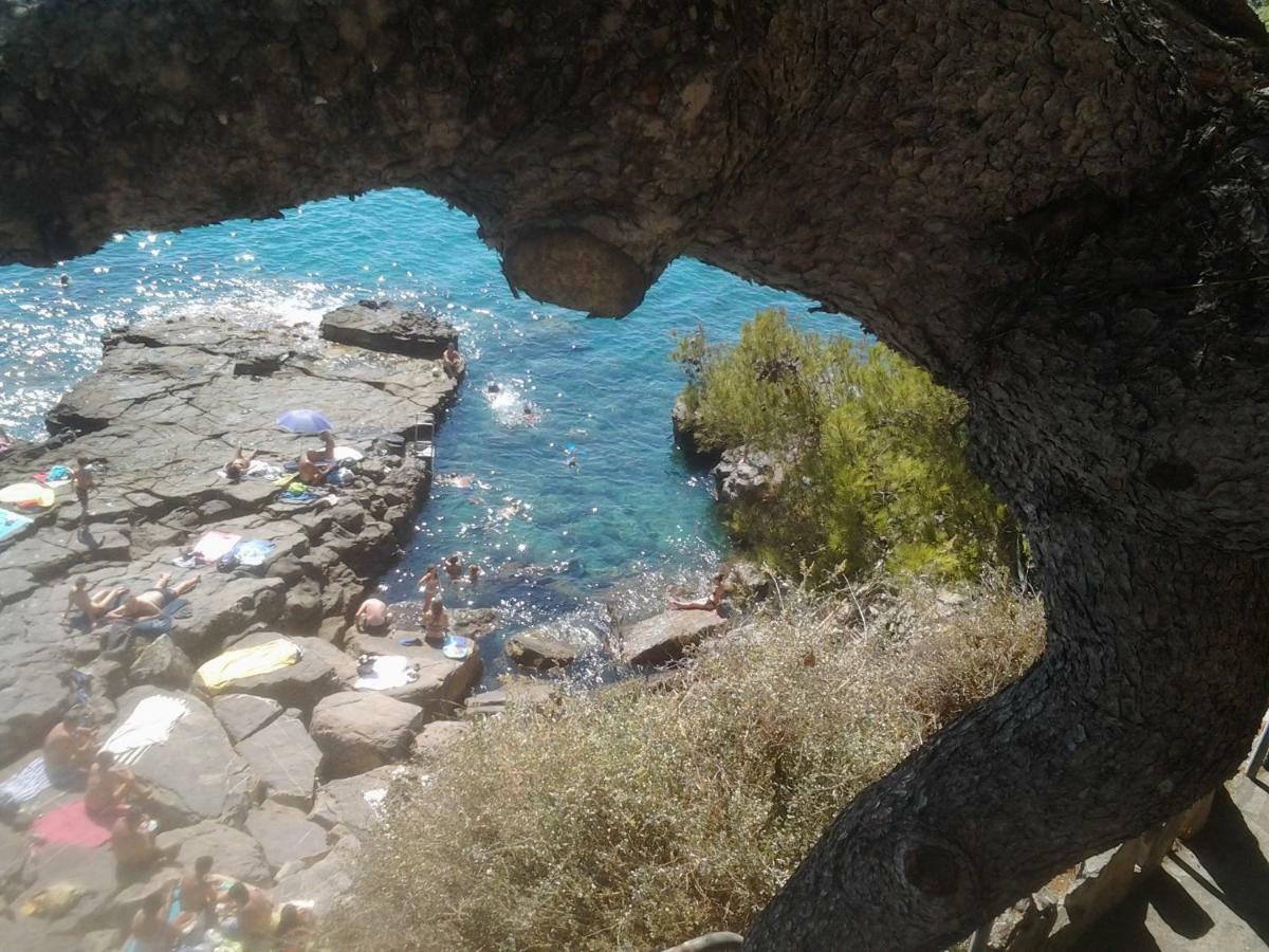 Villa Shambhala San Bartolomeo Al Mare Dış mekan fotoğraf